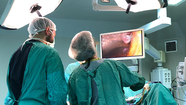 Configura composiciones multiview